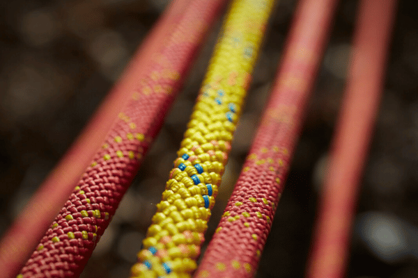 Arborist Ropes