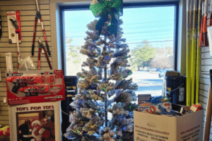 2025 toy collection in Hopkinton, MA