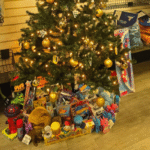 2025 toy collection in Summerville, SC