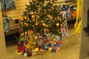 2025 toy collection in Summerville, SC